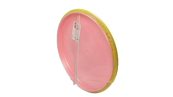 Axiom 2026 Soft Saarinen Team Series Soft Plasma Proxy Putter Back View
