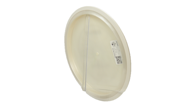MVP Plasma Servo Fairway Driver Back View