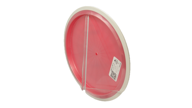 MVP Plasma Servo Fairway Driver Back View