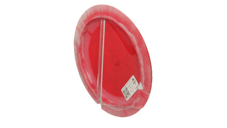 Innova 2026 Bradley Williams Tour Series "Baby" Halo Star Destroyer Distance Driver Back View