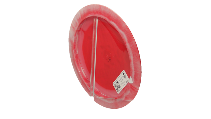 Innova 2026 Bradley Williams Tour Series "Baby" Halo Star Destroyer Distance Driver Back View