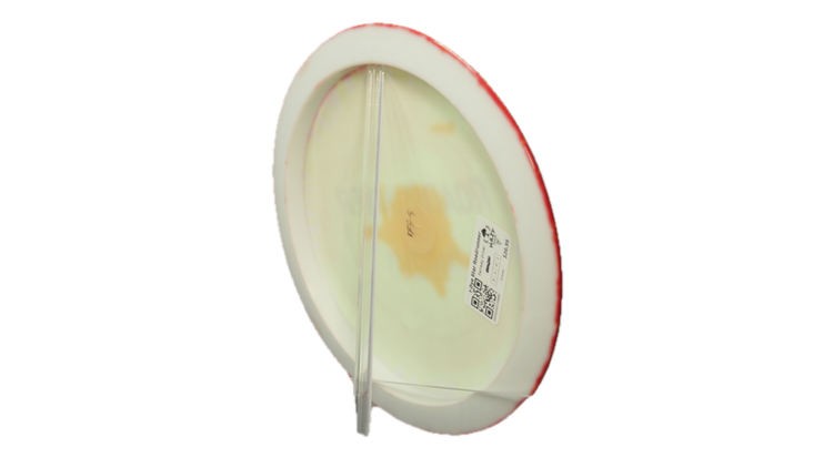 Innova I-Dye Star Roadrunner Fairway Driver Back View