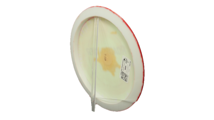Innova I-Dye Star Roadrunner Fairway Driver Back View