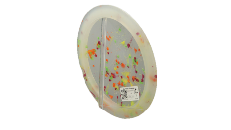 Dino Discs Egg Shell Allosaurus Distance Driver Back View