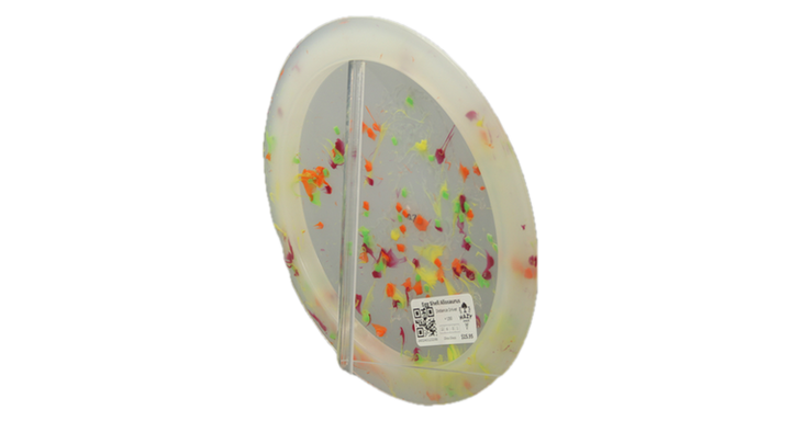 Dino Discs Egg Shell Allosaurus Distance Driver Back View
