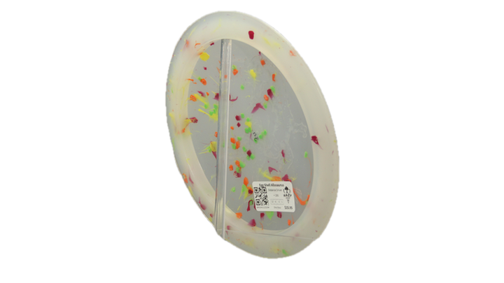 Dino Discs Egg Shell Allosaurus Distance Driver Back View