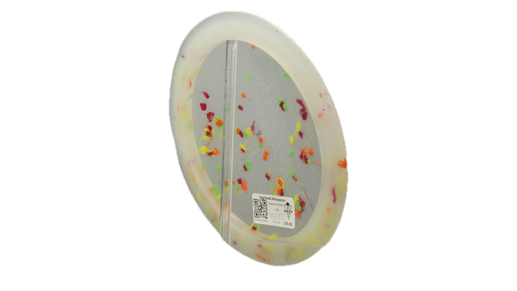 Dino Discs Egg Shell Allosaurus Distance Driver Back View