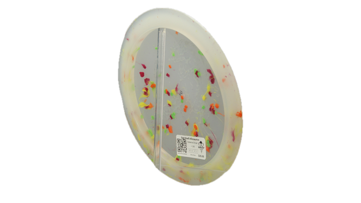 Dino Discs Egg Shell Allosaurus Distance Driver Back View