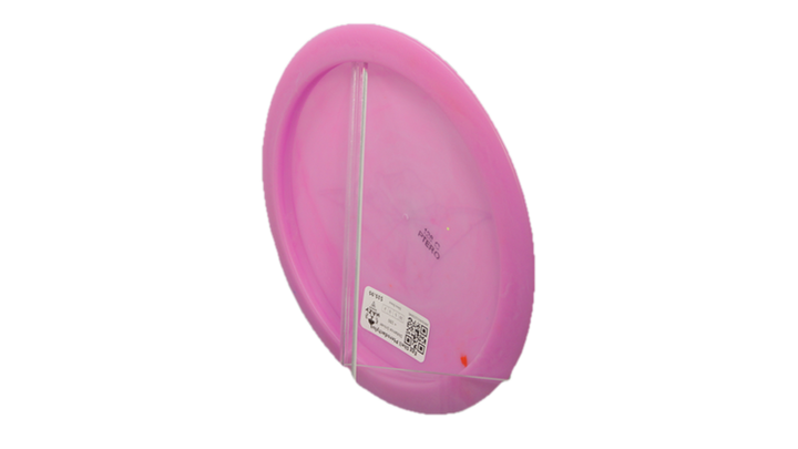 Dino Discs Egg Shell Pterodactylus Distance Driver Back View