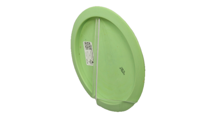 Dino Discs Egg Shell Pterodactylus Distance Driver Back View