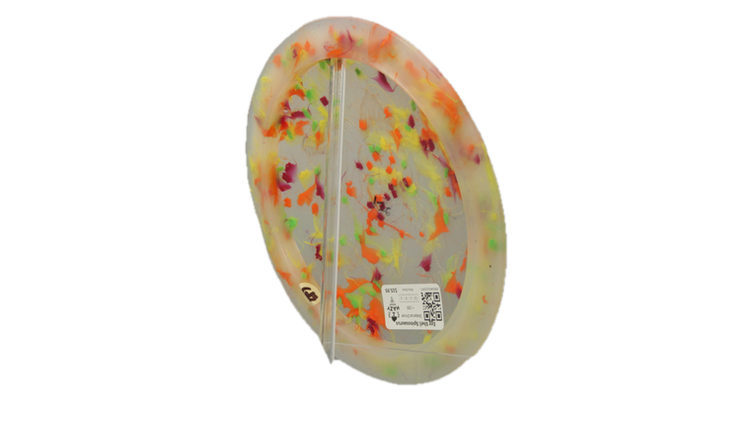 Dino Discs Egg Shell Spinosaurus Distance Driver Back View
