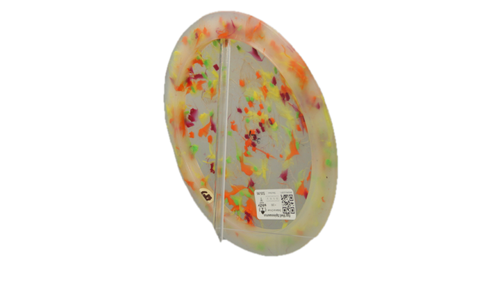 Dino Discs Egg Shell Spinosaurus Distance Driver Back View