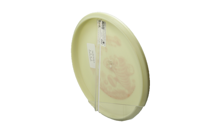 Innova 2026 Spring Sling Proto Glow JK Pro Aviar-X Putter Back View