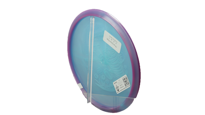 Innova 2026 Spring Sling Halo Champion Stingray Midrange Back View