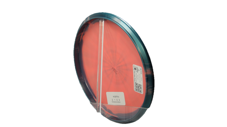 Innova 2026 Spring Sling Halo Star Rhyno Putter Back View