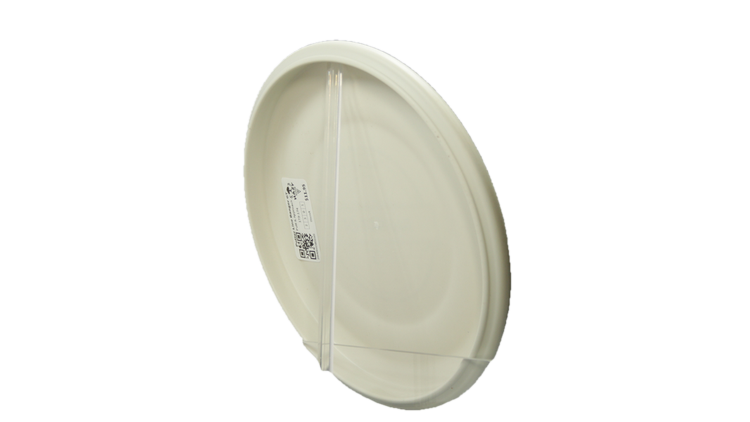 Discraft Putter Line Banger GT Putter Back View