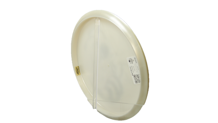 Discraft Big Z Buzzz Midrange Back View