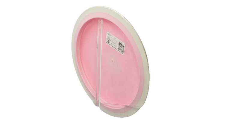MVP 2026 Conrad Team Series Fission Trail Distance Driver Back View