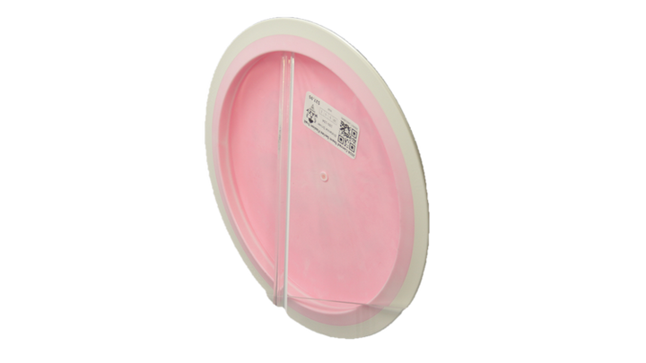 MVP 2026 Conrad Team Series Fission Trail Distance Driver Back View