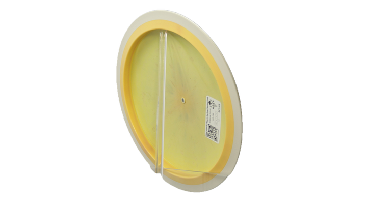 MVP 2026 Conrad Team Series Fission Trail Distance Driver Back View