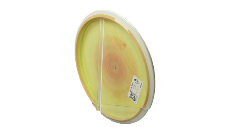 MVP Neutron Detour Midrange Back View
