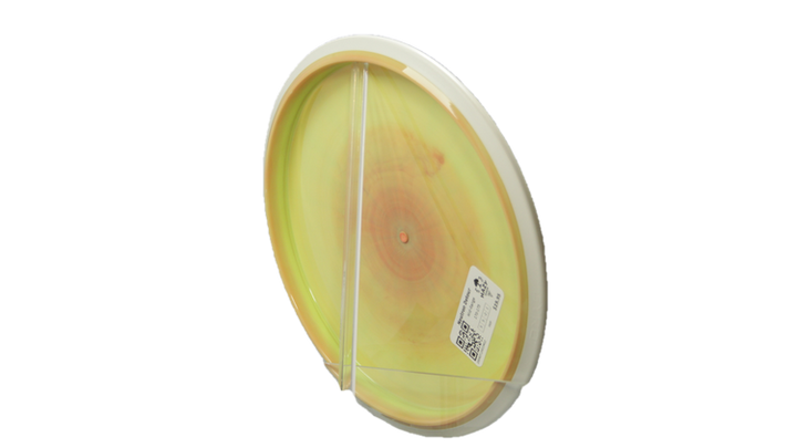 MVP Neutron Detour Midrange Back View