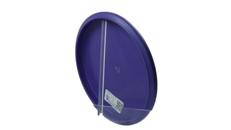 Climo Disc Golf Trophy Line Champ Putter Back View