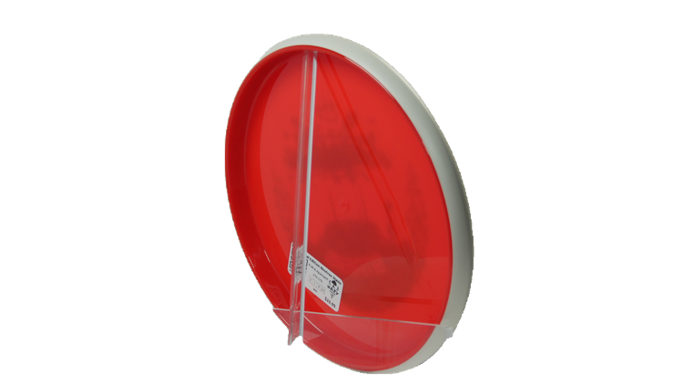 MVP 2026 Special Edition Neutron Stasis Putter Back View