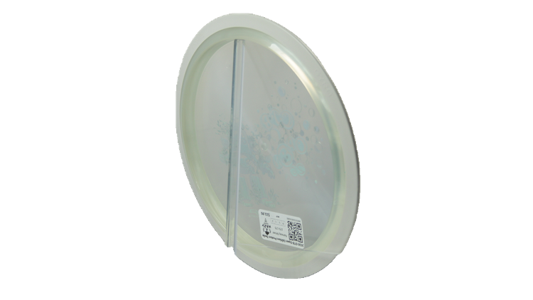 MVP 2026 OTB Open Edition Proton Tesla Fairway Driver Back View