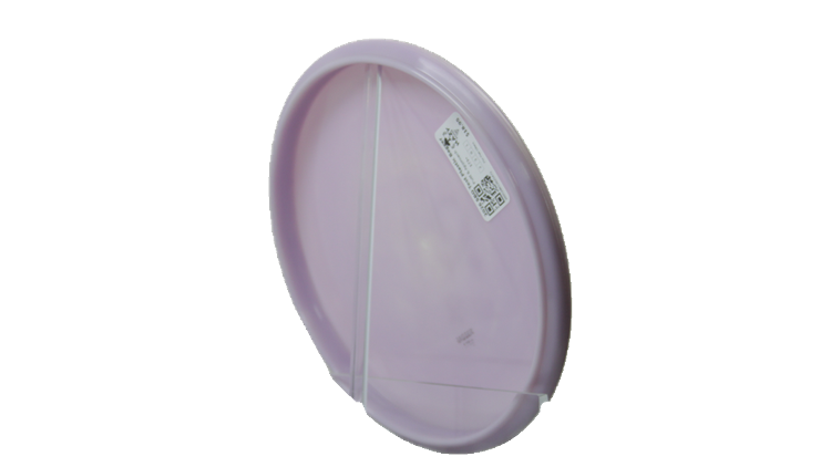 Pie Pan Discs 2026 SBO Test Plastic Bagger Putter Back View