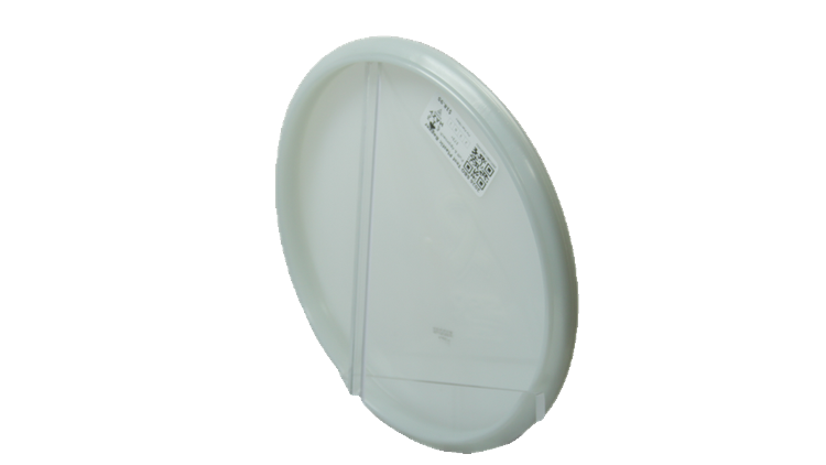 Pie Pan Discs 2026 SBO Test Plastic Bagger Putter Back View