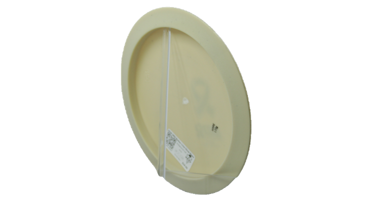 Pie Pan Discs 2026 SBO Butter Line Glow Hype Distance Driver Back View