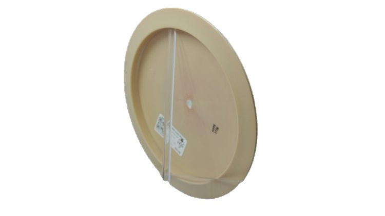 Pie Pan Discs 2026 SBO Butter Line Hype Distance Driver Back View
