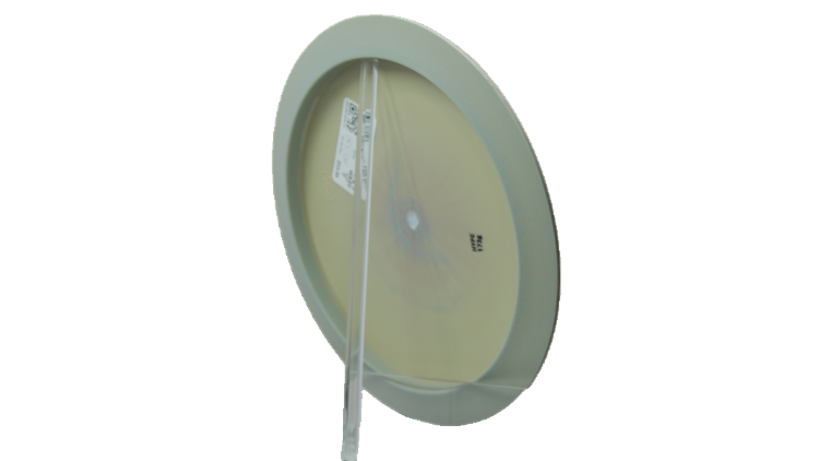 Pie Pan Discs 2026 SBO Butter Line Hype Distance Driver Back View