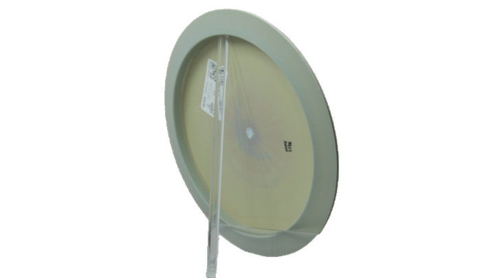 Pie Pan Discs 2026 SBO Butter Line Hype Distance Driver Back View
