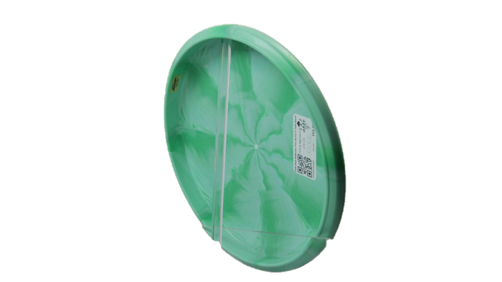 Discraft 2026 Chris Dickerson Tour Series CT Swirl Roost Putter Back View