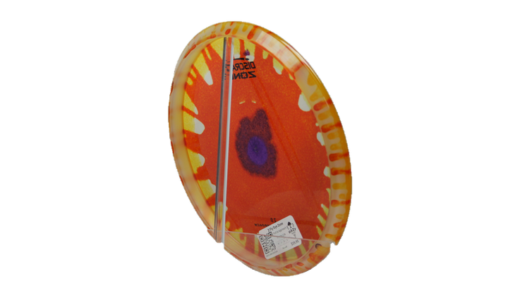Discraft Z Fly Dye Zone Putter Back View