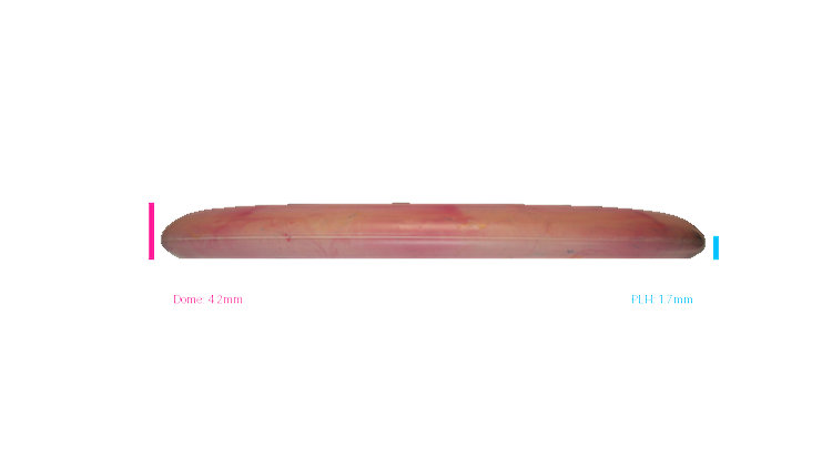 Discraft 2026 SBO Paige Pierce Fierce Putter Profile View