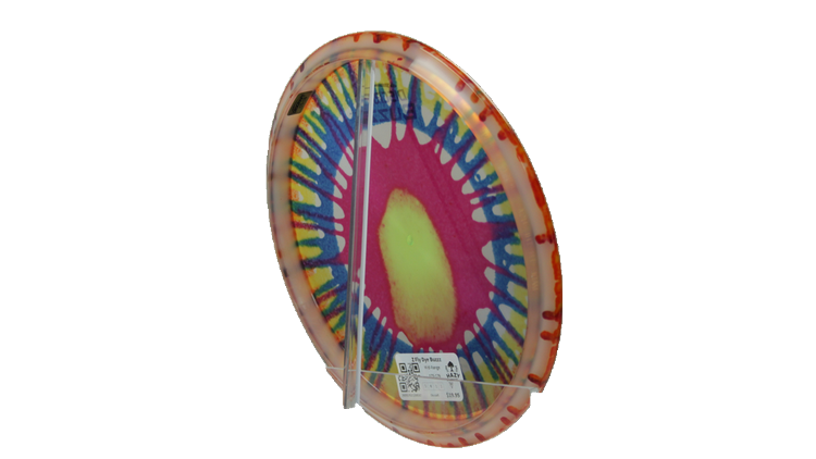 Discraft Z Fly Dye Buzzz Midrange Back View