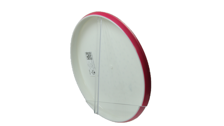 Axiom 2026 Soft Dragon Fruit Edition Soft Neutron Pitch Putter Back View