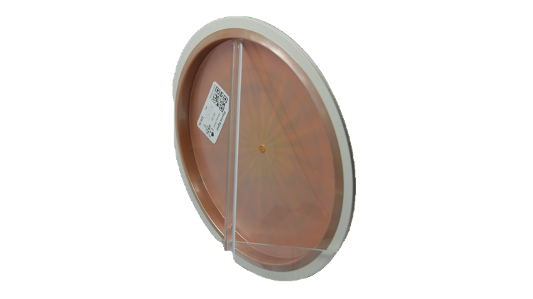 MVP Plasma Signal Fairway Driver Back View