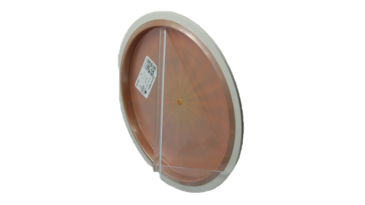 MVP Plasma Signal Fairway Driver Back View