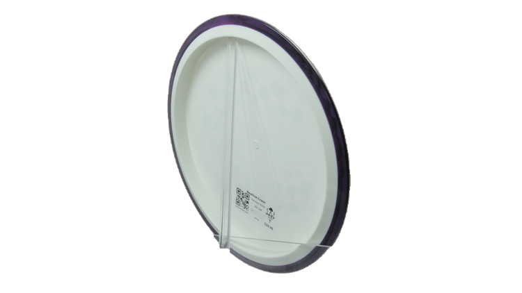 Axiom Neutron Crave Fairway Driver Back View