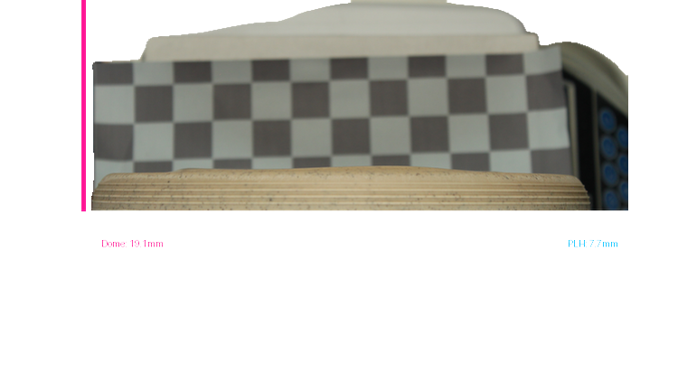 Gateway SG Hemp Wizbee Putter Profile View