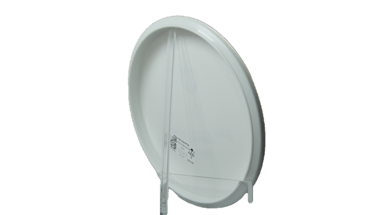 Discmania Flex 2 D-Line P1X Putter Back View