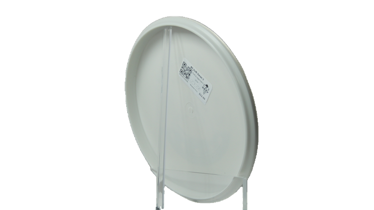 Westside Discs BT Soft Swan 2 Putter Back View