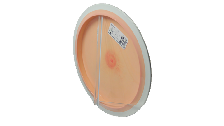 MVP 2026 Special Edition Neutron Control Distance Driver Back View