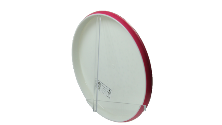 Axiom 2026 Soft Dragon Fruit Edition Soft Neutron Pitch Putter Back View
