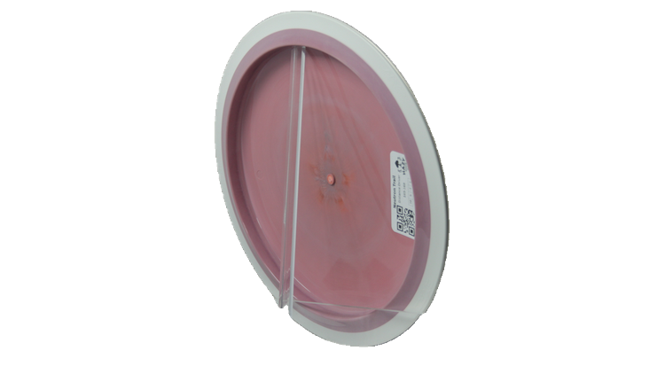 MVP Neutron Trail Distance Driver Back View