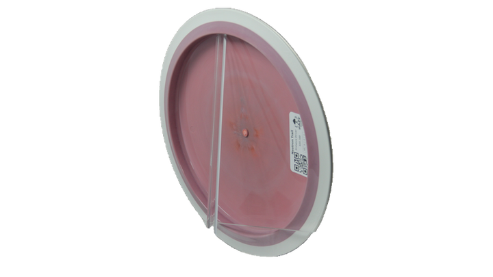 MVP Neutron Trail Distance Driver Back View